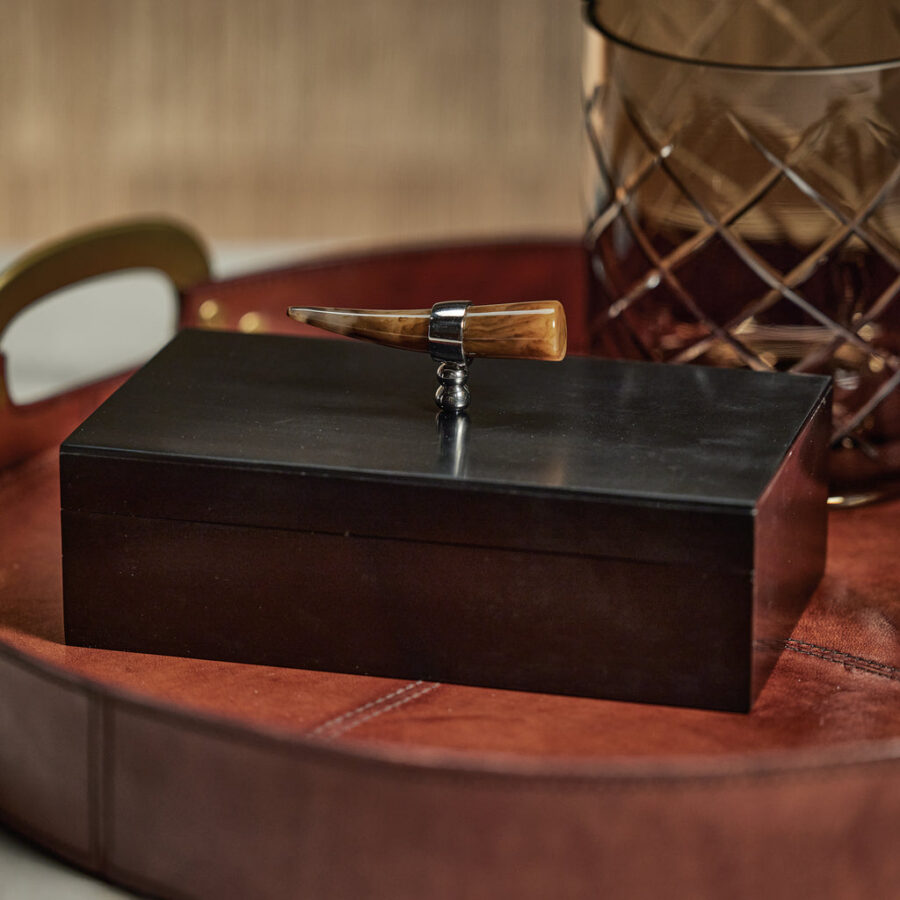 Black Storage Box with Horn Design Handle